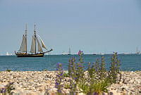 Windjammerparade 00001 ©Lh Kiel - Barbara Westendorf.jpg