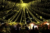 Weihnachtsmarkt auf dem Holstenplatz 00004 @Lh Kiel - Bodo Quante.jpg