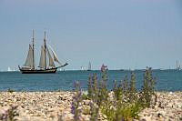 Windjammerparade 00001 ©Lh Kiel - Barbara Westendorf.jpg