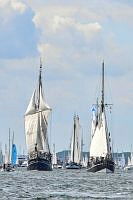 2024 Windjammerparade 00023 ©Lh Kiel - Bodo Quante .JPG