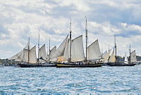 2024 Windjammerparade 00020 ©Lh Kiel - Bodo Quante .JPG