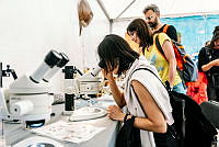 Kieler Woche 2025 - Ein Zuhause für alle (276).jpg