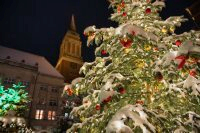 Weihnachtsdorf auf dem Rathausplatz 00004 @Lh Kiel - Bodo Quante.jpg